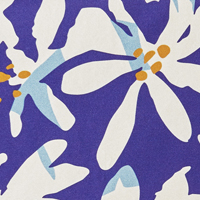 MARCELLA BLUE PLUMERIA